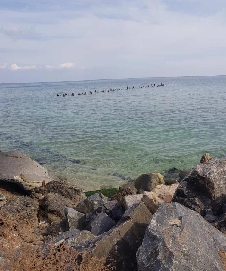 Vip Apartment In The Very Center Of Odessa With Sea View Luaran gambar